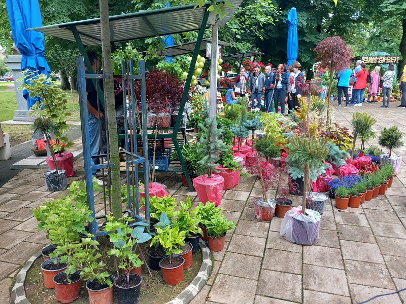 Treći Sajam cvijeća u Bijeljini: Semberija ima veliki potencijal za proizvodnju (FOTO)