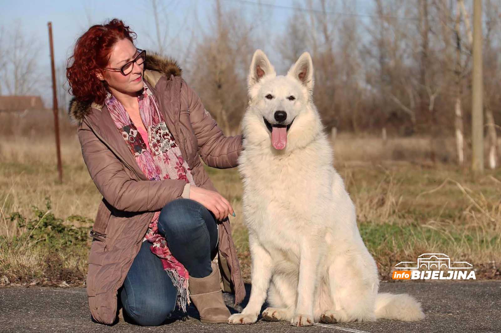 Švajcarski bijeli ovčari iz Semberije osvajaju svijet (FOTO)