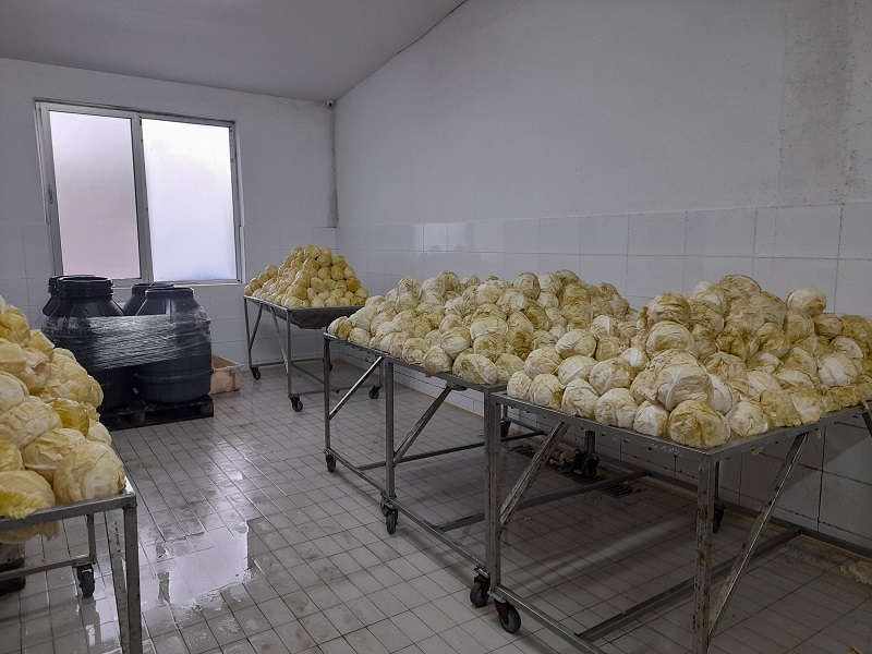 Kvalitet semberskog kupusa je neupitan, mora se urediti tržište i privući ozbiljni kupci 