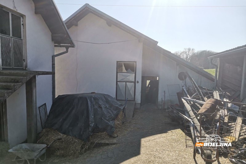 Semberija: Šta se mora odraditi prije useljavanja farmi na kojima je bila potvrđena afrička kuga?