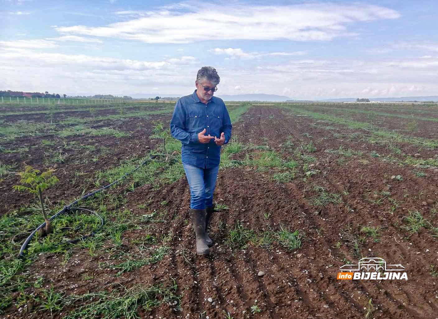 Agronom zasadio 433 stabla oraha u Semberiji: Ulaganje u budućnost koje će se isplatiti (FOTO)