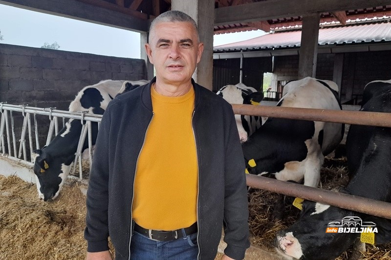 Bijeljinski farmer proizvodi 1.000 litara mlijeka dnevno: “Premije su nam praktično jedina zarada”