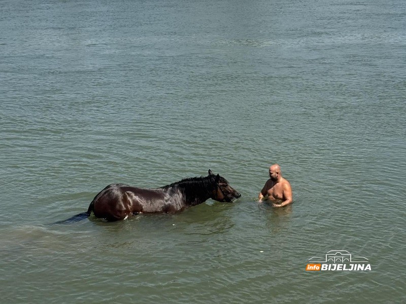 Spas od vrućine: Bijeljinac u Drini rashladio i sebe i konja (FOTO, VIDEO)