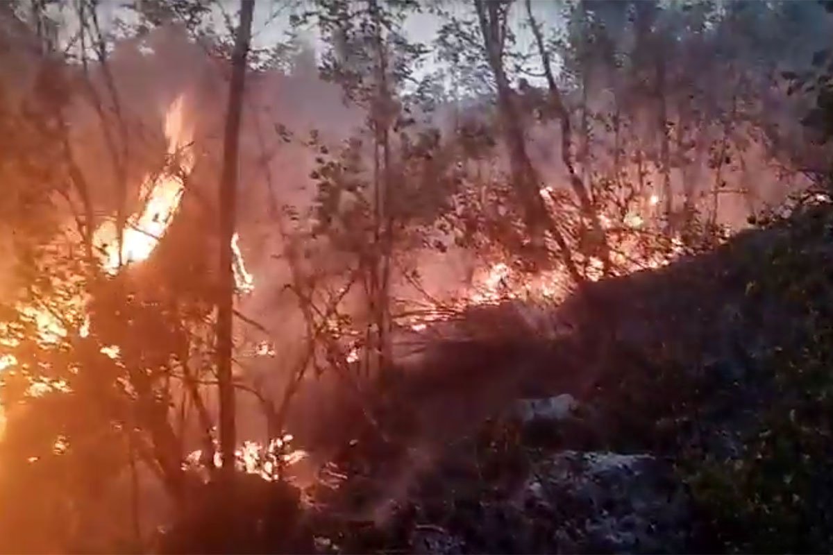 Požari gutaju Crnu Goru: Vatrogasci proveli noć spašavajući kuće u Nikšiću i Podgorici