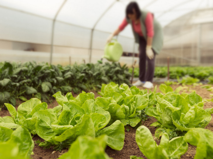Skuplja proljetna sjetva u Srpskoj: Poljoprivrednici u minusu, siju i „gledaju u nebo“