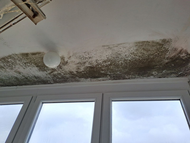 Stanari ne mogu da se dogovore oko održavanja stubišta, rasvjete, popravki lifta... /FOTO/