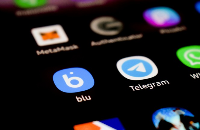 Osnivač Telegrama priveden u Francuskoj