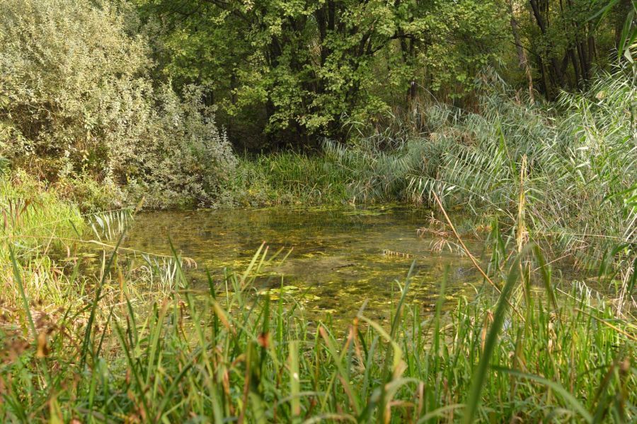 Bijeljina: “Gromiželj” će nadlijetati dron, 24. marta javna prezentacija