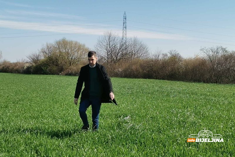 Bijeljinski ratarima pune ruke posla: Prinos žita može biti umanjen i do 50 odsto, kako to spriječiti?