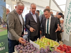 Vasilije Perić: Šljiva je izvozni brend Podmajevice FOTO