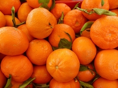 Moćno citrusno voće je stiglo: Smršajte uz pomoć MANDARINA
