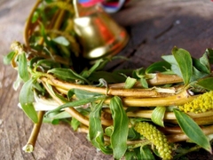 Narodni običaji i vjerovanja na Lazarevu subotu - Vrbicu