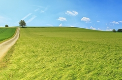 Sutra sunčano i toplo, temperatura i do 30 stepeni