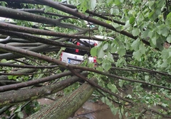 OLUJA ČUPALA DRVEĆE Vjetar u Srpskoj duvao brzinom od 67 kilometara na čas