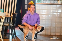 „Pet friendly“ kafići u Bijeljini olakšica za vlasnike kućnih ljubimaca (FOTO)