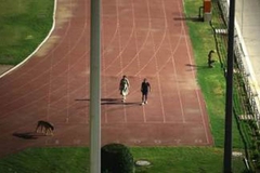 Uticajni supružnici zatvorili stadion da bi šetali psa