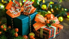 Crveni krst: Novogodišnji paketići i za djecu u poplavljenim mjestima 