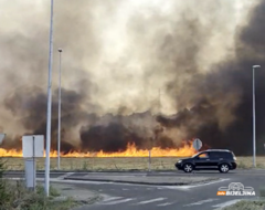 Požar na obilaznici oko Bijeljine, na terenu vatrogasci (VIDEO)