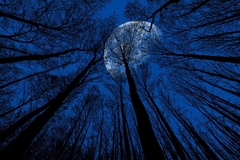 Šta je to plavi Mjesec