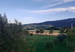 "Zavičaj je tamo gdje se uvijek možeš vratiti” Srpsko selo Veliki Radić ušuškano pod Grmečom, nekada je tu živjelo 600, danas tek 80 stanovnika