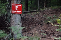 OPASNOST SKRIVENA U ZEMLJI Pod minama još 1,69 odsto teritorije BiH