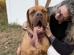 Pas Ozi oborio Ginisov rekord!