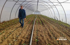 Semberija: Mjere Vlade Republike Srpske spasile poljoprivrednike (FOTO)