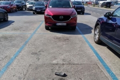 Fotografija iz Zadra postala hit: Kako se "čuva" parking mjesto