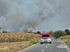 Požar u Amajlijama, na terenu brojne vatrogasne ekipe (FOTO)