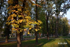 Danas sunčano i toplije, maksimalna temperatura do 18 stepeni