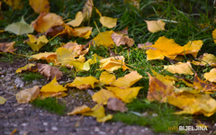 Sutra djelimično vedro, povećanje oblačnosti u drugom dijelu dana
