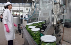 Prerađivačkoj industriji potrebna moderna tehnologija