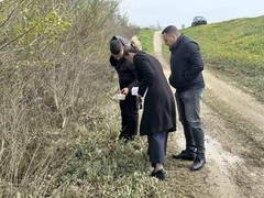 Počelo uništavanje komaraca u Semberiji: Dezinsekcija počinje svakodnevno, zavisno od vremenskih uslova