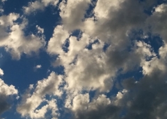 Sutra umjereno oblačno, posle podne moguća kiša