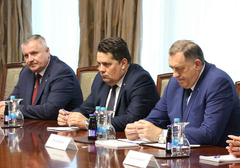 Austrija i Njemačka uvode sankcije Dodiku, Stevandiću i Viškoviću?