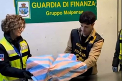 Najmorbidniji "ulov" italijanske carine pronađen u paketu iz BiH