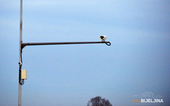 Italija ukida slanje fotografija s kamera za brzinu: "Propadale su veze, brakovi i poslovi"