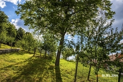 OD 7. MAJA SE SVE MIJENJA: Meteorolog otkrio kada ćemo se oprostiti od zimske odjeće i obuće