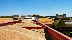 Pašalić: Prati se izlaz pšenice iz BiH