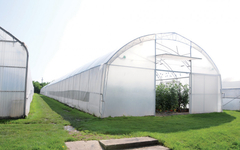 Poziv poljoprivrednicima za dodjelu plastenika