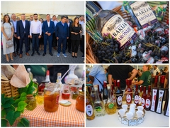 Sajam šljive, voćnih rakija i meda u Ugljeviku okupio 91 izlagača: Podmajevički kraj nadaleko čuven (FOTO)