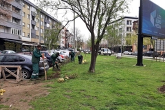 Počela velika proljećna akcija u Semberiji: Zasađeno 140 sadnica, čisti se otpad i pošumljavaju deponije