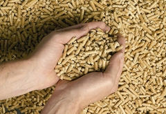 "Potrebno zabraniti izvoz peleta iz BiH do 31. marta naredne godine"