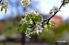 Kakvo nas vrijeme očekuje u subotu