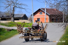 KASNI SJETVA U SEMBERIJI: Zbog lošeg vremena biće dodatnih troškova