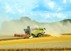 Oglasio se Borel o ruskoj suspenziji sporazuma o žitu