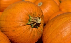 Kriška pečene ili kuvane BUNDEVE najbolji lijek za glavobolju