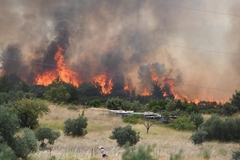 Veliki požar u Dalmaciji, gasi ga pet aviona /VIDEO/