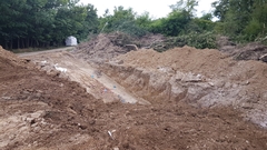 Neadekvatno odlaganje uginulih životinja opasnost za širenje afričke kuge 