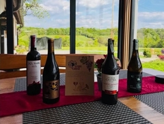 Uživajte uz vrhunska vina iz asortimana Wine and Flower shopa u Čičinom sokačetu (FOTO)